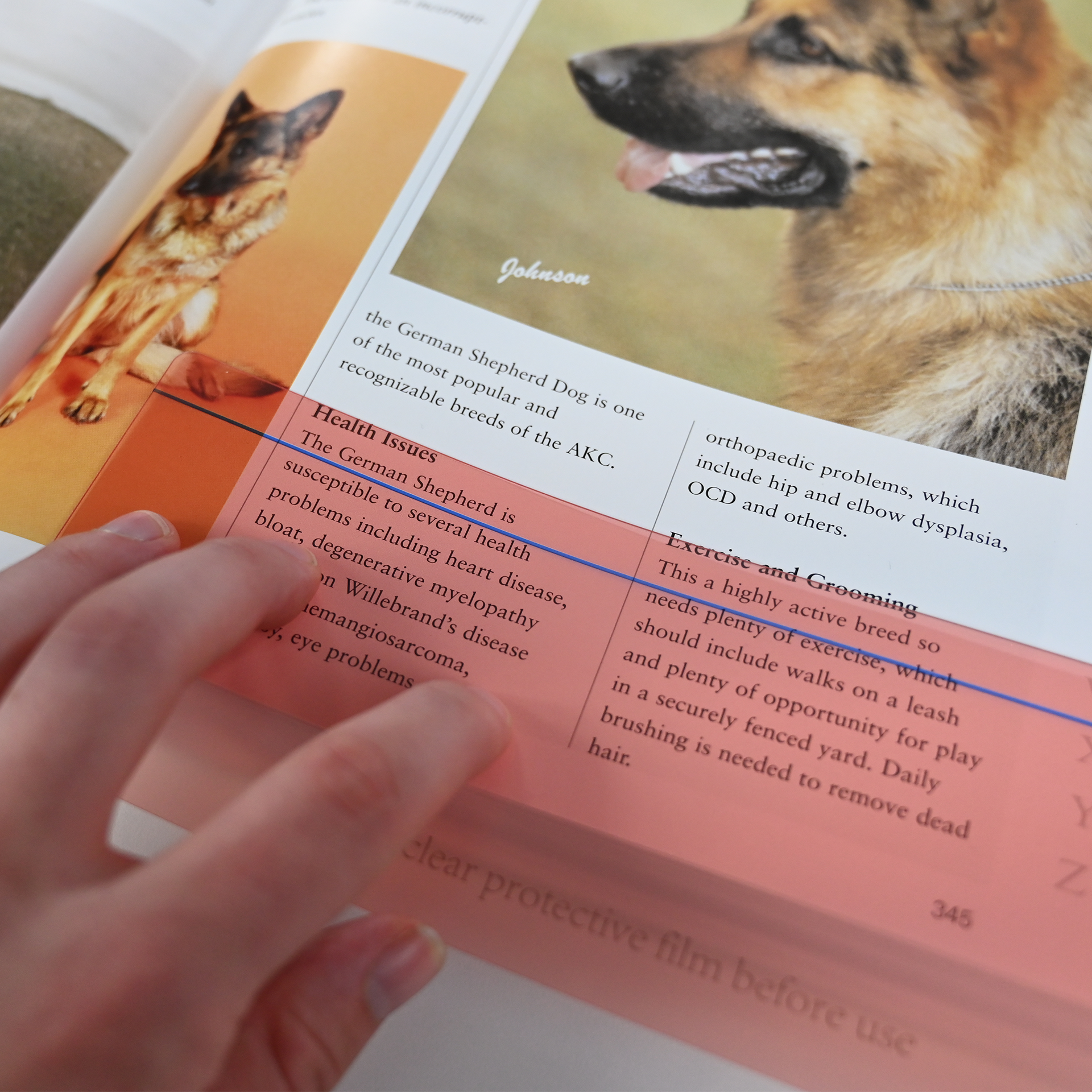 ruler overlays single pink