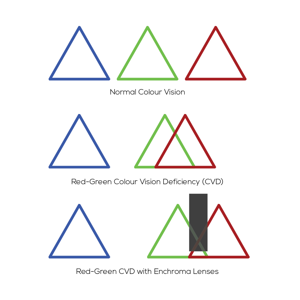 color-deficiency-visual-cones-triangles